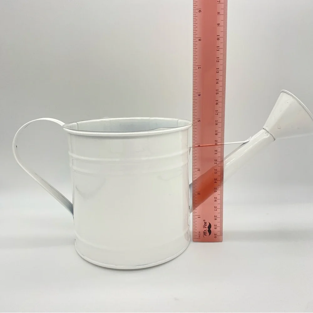 White Metal Watering Can Includes Plastic Liner for Bouquets or Potted Plants